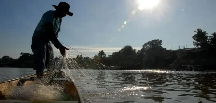 Piracema: pesca está proibida a partir de 1º de novembro
